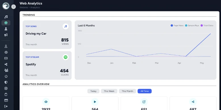 Website Analytics