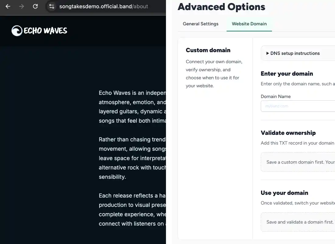 Artist site colors